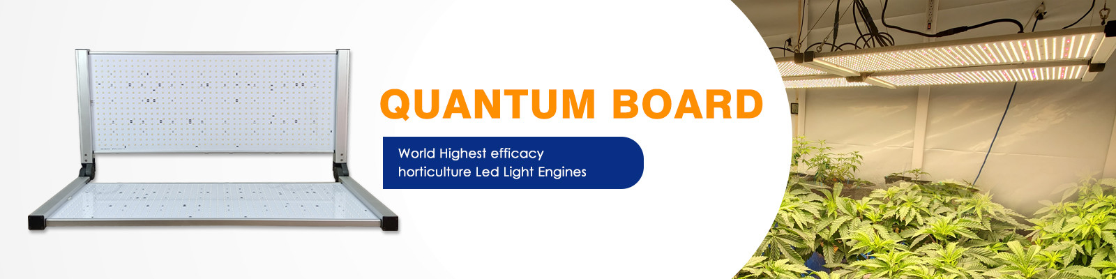 El tablero LED de Quantum crece luces