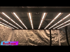 1000 watt led grow light for cannabis