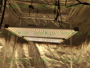 Quantum Board 240Watt Tent 2x2 Led Grow Light
