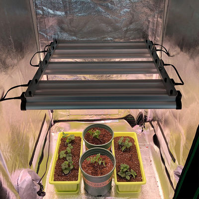 la lechuga Veg LED de la fresa 45w crece ligera para la cultura interior del tejido