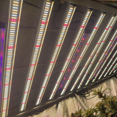 La horticultura LED de RedFarm 1500W crece Samsung ligero LM301H Osram 660nm 730nm