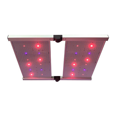El tablero LED de RedFarm 480W 3500K Quantum crece las luces Samsung LM301H