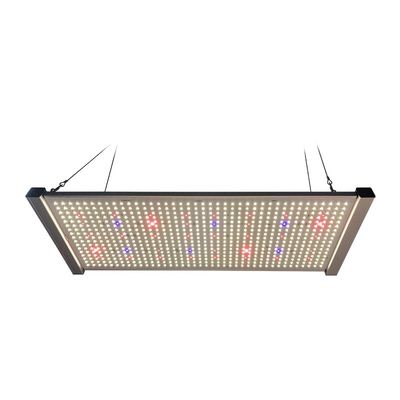 el tablero LED de 320W Quantum crece el espectro completo SEÚL 395nm ULTRAVIOLETA de las luces