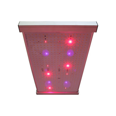 Quantum 2x2 LED crece ligero